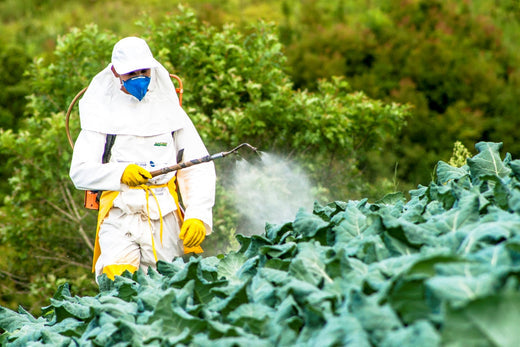 Why Organic Soap? Because Pesticides Are Carcinogens